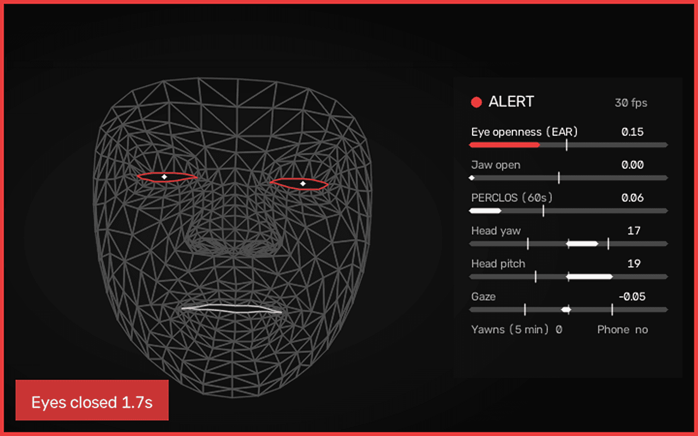 Driver Monitor desktop preview